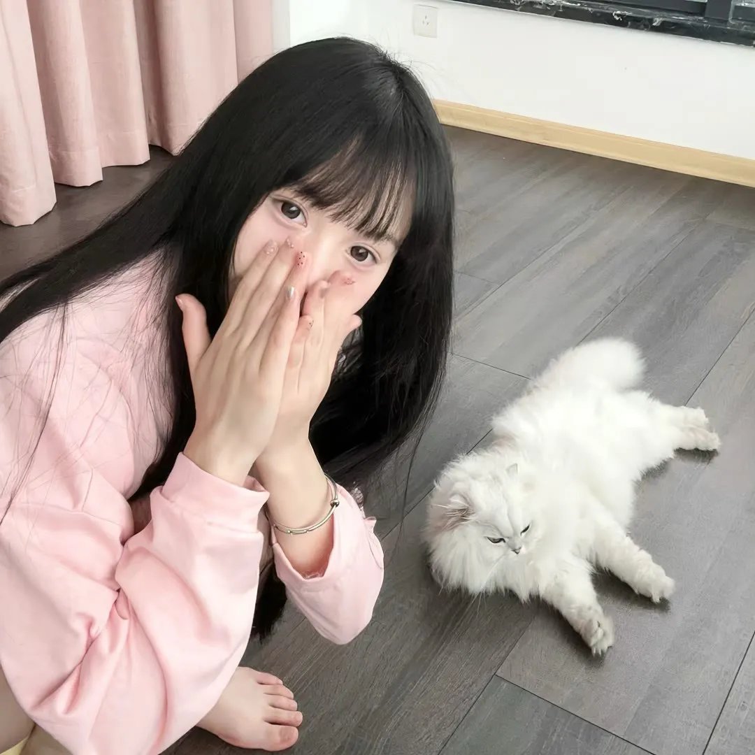 13朵玫瑰