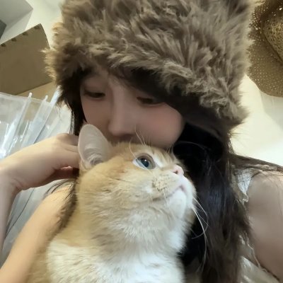 狐狸的故事